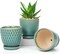 3 Set Ceramic Planters with Drainage Hole and Ceramic Tray Set (Teal)